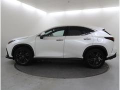 ��������å���ʥ����ɥӥ塼 6