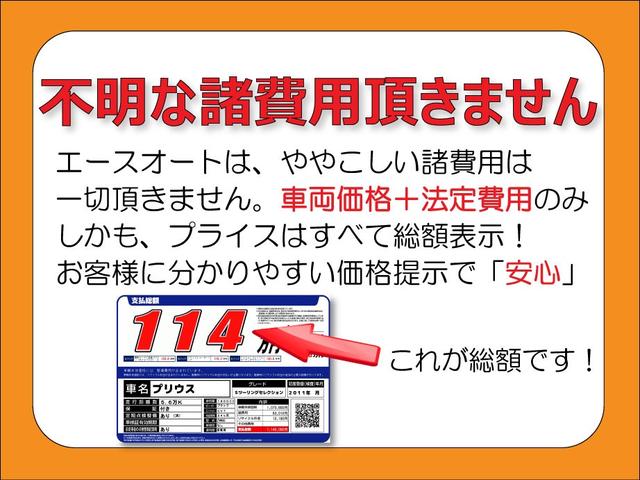 Ｇ　ターボＳＳパッケージ　禁煙車　ツートーンカラースタイル　ＣＴＢＡレーダーブレーキ　両側パワースライドドア　８エアバッグ　横滑り防止　あんしんパッケージ　クルーズコントロール　ＥＴＣ　ＨＩＤヘッドライト　純正ナビＤＶＤ　ＢＴ(54枚目)