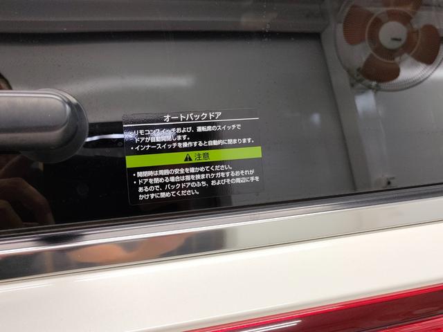 エルグランド ３５０ハイウェイスタープレミアム　禁煙車　屋内保管車　本革シート　両側電動スライドドア　パワーバックドア　アルパインフリップダウンモニター　スマートキー２個　社外アルミホイール　ＡＤＶＡＮｄｂＶ５５２　アルパインカーナビ　バックカメラ（49枚目）