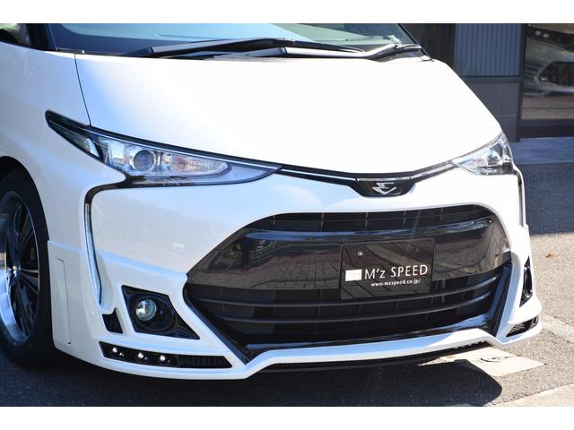 2WD アエラス ZEUS新車カスタムコンプリートローダウン(10枚目)