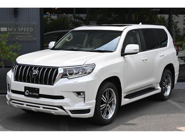 TX Lパッケージ ZEUS新車カスタムコンプリートカー・エアロ(3点)・フロントグリル・ダウンサス・20インチAW・T-Connectナビ・マルチレインモニター・電動ムーンルーフ(34枚目)