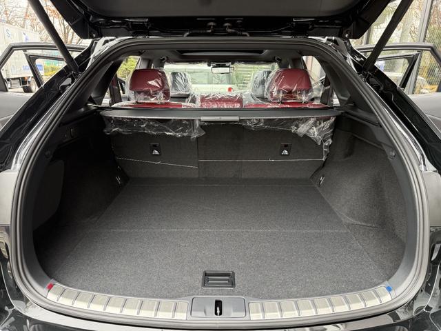 ＲＸ ＲＸ３５０　Ｆスポーツ　ノーマルカー・オレンジブレーキキャリパー・ＩＴＳコネクト・ドライブレコーダー（前後方）・デジタルインナーミラー・おくだけ充電・ルーフレール・パノラマルーフ・後席シートヒーター・輻射ヒーター（54枚目）
