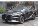 ＲＸ３５０　Ｆスポーツ　ノーマルカー・オレンジブレーキキャリパー・ＩＴＳコネクト・ドライブレコーダー（前後方）・デジタルインナーミラー・おくだけ充電・ルーフレール・パノラマルーフ・後席シートヒーター・輻射ヒーター（66枚目）