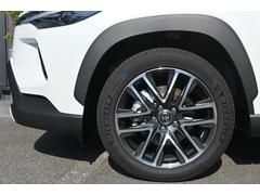 ڸѡĤǰ¿­ѡĤϽפʲսΰĤʤΤǡ²ʤȣǯǥإ꤬ФƤޤޤҤǤͭ̾᡼Υƥ䥯ѤƤޤΤǡ꿴Ϥ⤴¿ 7