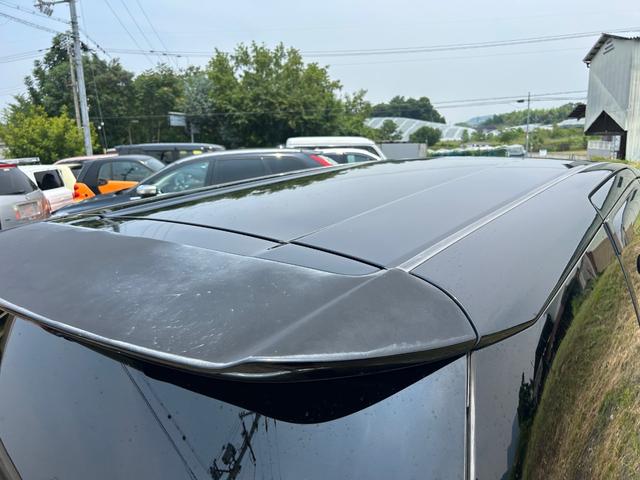 エスティマ アエラス 両側電動スライドドア/ナビ/テレビ/ETC/バックカメラ/後席モニター/CD/DVD/3列シート/スマートキー/キーレスエントリー/盗難防止システム/アルミホイール/修復歴無し(49枚目)