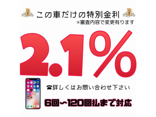 スペシャル・バグ 400台限定 特別仕様車/専用17インチAW/HIDヘッドライト/専用ハーフレザーシート/コムテック360度ドラレコ/カロッツェリアSDナビ/フルセグTV/バックカメラ/シートヒーター/ETC/禁煙(29枚目)