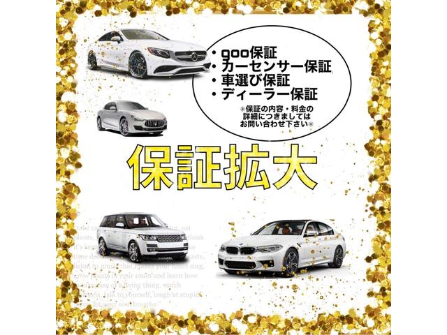 スペシャル・バグ 400台限定 特別仕様車/専用17インチAW/HIDヘッドライト/専用ハーフレザーシート/コムテック360度ドラレコ/カロッツェリアSDナビ/フルセグTV/バックカメラ/シートヒーター/ETC/禁煙(32枚目)