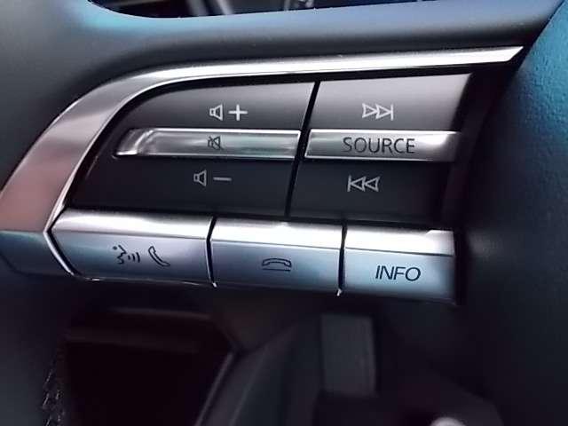 2.0 X プロアクティブ 試乗車 360度ビューモニター(11枚目)
