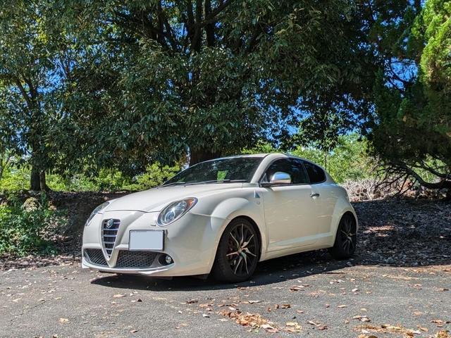 ミト クアドリフォリオ　ヴェルデ（2枚目）