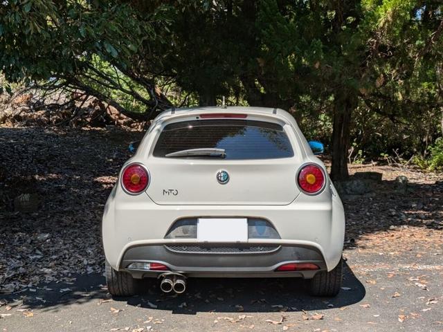 ミト クアドリフォリオ　ヴェルデ（3枚目）