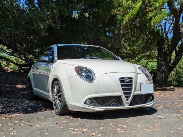 ミト クアドリフォリオ　ヴェルデ（13枚目）