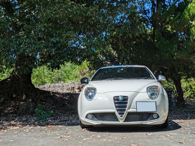 ミト クアドリフォリオ　ヴェルデ（14枚目）