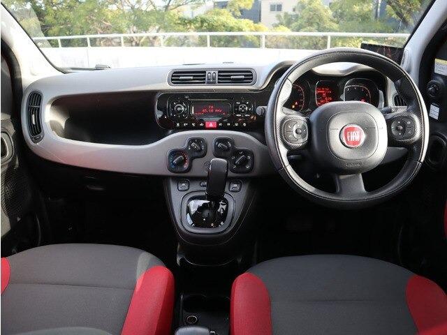 パンダ イージー（3枚目）