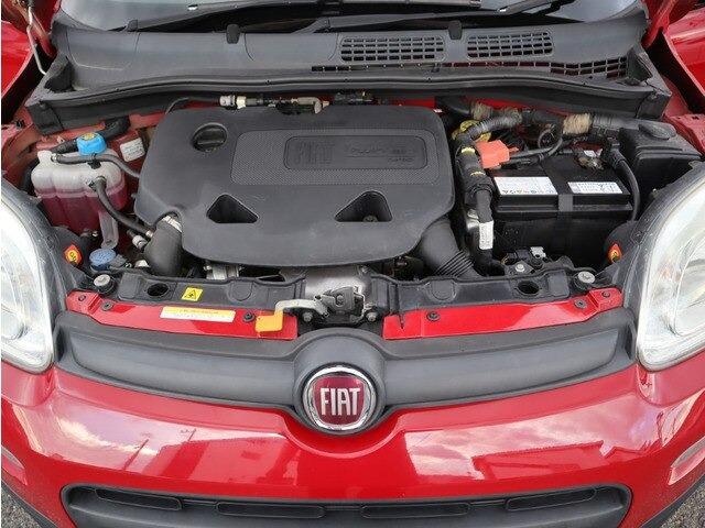 パンダ イージー（4枚目）