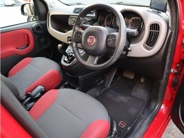 パンダ イージー（6枚目）