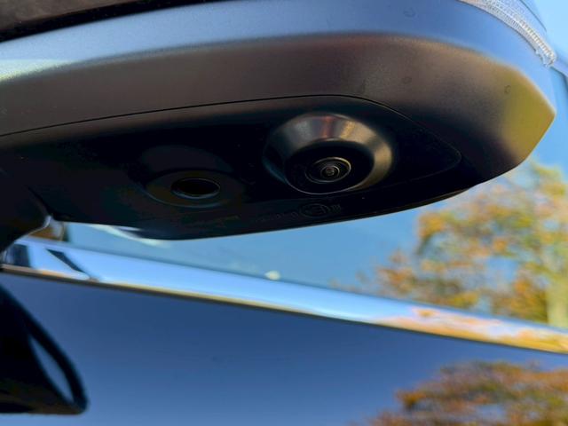 アルファード Z /ワンオーナ/フリップダウン/ユニバーサルステップデジタルインナーミラー/左右独立ムーンルーフ/両側パワースライドドア/全周囲カメラ/BSM/衝突軽減/レーダークルーズ/パワーバックドア/ETC(10枚目)