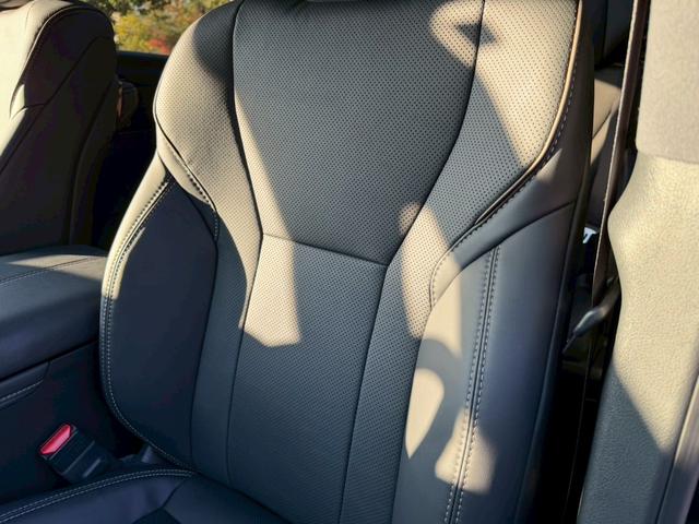 アルファード Z /ワンオーナ/フリップダウン/ユニバーサルステップデジタルインナーミラー/左右独立ムーンルーフ/両側パワースライドドア/全周囲カメラ/BSM/衝突軽減/レーダークルーズ/パワーバックドア/ETC(77枚目)