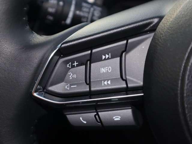 ＭＡＺＤＡ２ １．５　ＸＤ　Ｌパッケージ　ディーゼルターボ　マツダ認定中古車　衝突被害軽減ブレーキ　８ｉ（10枚目）