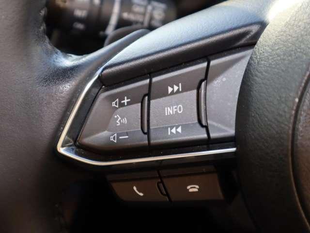 ＭＡＺＤＡ２ １．５　１５スポルト　マツダ認定中古車　衝突被害軽減ブレーキ　ＥＴ（10枚目）