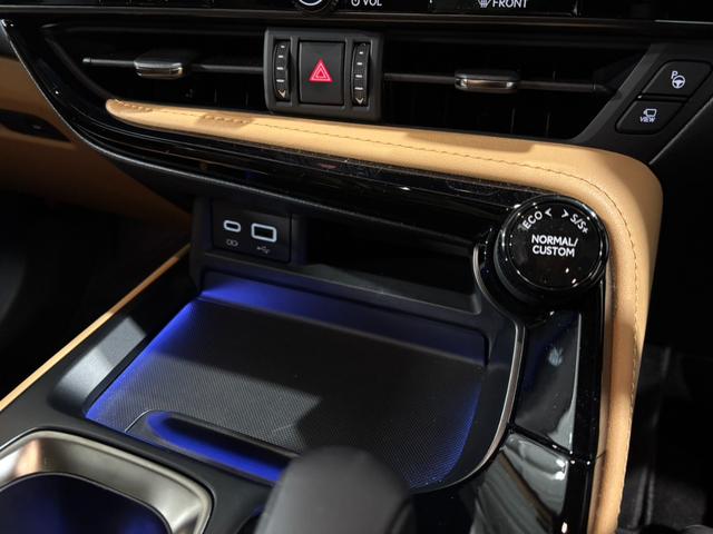 ＮＸ ＮＸ３５０ｈ　Ｆスポーツ　ＴＲＤエアロ／内装ヘーゼル／パノラマルーフ／オレンジキャリパー／デジタルインナーミラー／ワンオーナー／１４型ナビ／３６０カメラ／シートヒータークーラー／ヘッドアップディスプレイ／３眼ＬＥＤヘッドラント（33枚目）