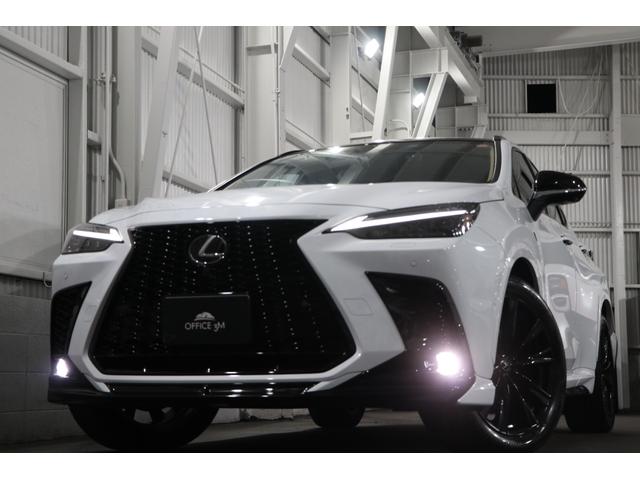 ＮＸ ＮＸ３５０ｈ　Ｆスポーツ　ＴＲＤエアロ／内装ヘーゼル／パノラマルーフ／オレンジキャリパー／デジタルインナーミラー／ワンオーナー／１４型ナビ／３６０カメラ／シートヒータークーラー／ヘッドアップディスプレイ／３眼ＬＥＤヘッドラント（59枚目）