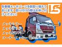 ISUZU ELF TRUCK