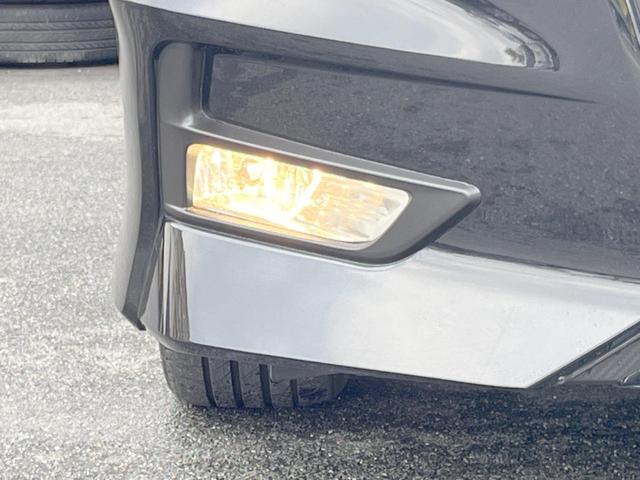 セレナ ハイウェイスター VセレクションII セーフティパックA BIG-X11型ナビ 両側電動スライドドア エマージェンシーブレーキ アラウンドビューモニター クルーズコントロール ETC LEDヘッド 純正16インチアルミ(41枚目)