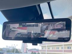 �ڥ���ƥꥸ����ȥ롼��ߥ顼�۸��ʤ��礭�ʲ�ʪ��Ʊ��ԤǸ�������ǧ���Ť餤���Ǥ�¿�������餬���Ƥ�����ξ�����α�����롼��ߥ顼���ɽ�������ꥢ�ʻ볦�Ǿ����γ�ǧ����ǽ�Ǥ��� 6