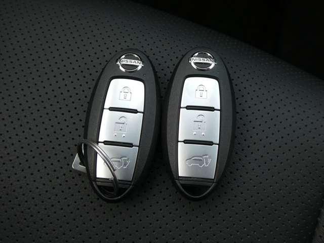 エクストレイル ２．０　２０Ｘｉ　レザーエディション・プロパイロット　本革シート　衝突被害軽減システム　アラウンドビューモニター　ＬＥＤヘッドランプ　ドライブレコーダー　ＥＴＣ　パワーシート　シートヒーター　フルセグＴＶ付ナビ（16枚目）