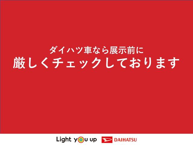 カスタムX トップエディションSAIII 純正ナビ バックカメラ 運転席シートヒーター ETC車載器 Bluetoothオーディオ 左側パワースライドドア LEDヘッドライト オートライト(48枚目)