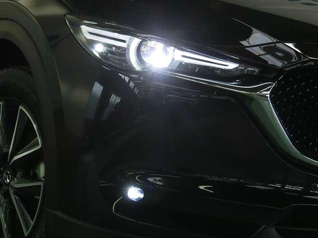 XD Lパッケージ サポカーSワイド 電動レザーシート(19枚目)