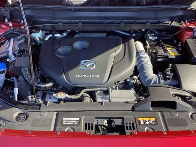 �X�J�C�c�G���W���́A�K�\�����G���W���Ɣ�r���A�D�ꂽ�R��Ɨ͋����g���N�ɒ�]������܂��B�������H�̍�����o��H�ł��̐^���𔭊����܂��̂ŁA�v�X�h���C�u���y�����Ȃ�܂��B