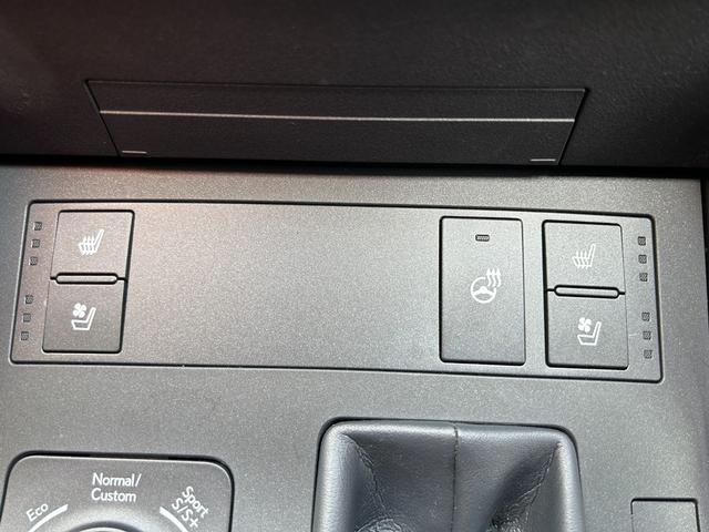 ＩＳ ＩＳ３００ｈ　バージョンＬ　純正メーカーナビ・地デジＴＶ／レザーシート／レクサスセーフティシステム／三眼ＬＥＤヘッドライト／／Ｆエアーシート＆シートヒーター／パノラミックビューモニター／ＥＴＣ２．０（30枚目）