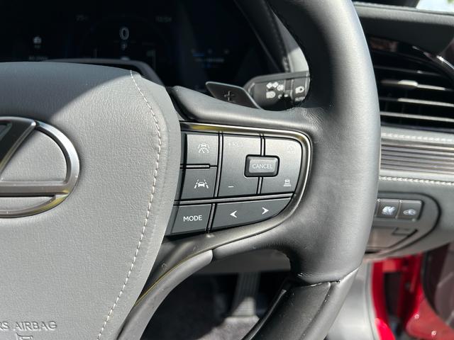 ＬＳ ＬＳ５００ｈ　バージョンＬ　純正ナビ・地デジＴＶ／レザーシート／ＥＴＣ２．０／レクサスセーフティシステム／マークレビンソン／パノラミックビューモニター／デジタルインナーミラー（26枚目）