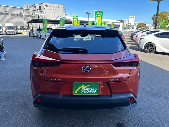 UX UX250h バージョンL 純正ナビ・地デジTV/レザーシート/ETC2.0/レクサスセーフティシステム/エアーシート&シートヒーター/パワートランク/前後ドライブレコーダー(12枚目)