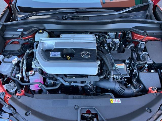 UX UX250h バージョンL 純正ナビ・地デジTV/レザーシート/ETC2.0/レクサスセーフティシステム/エアーシート&シートヒーター/パワートランク/前後ドライブレコーダー(18枚目)