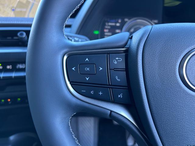 UX UX250h バージョンL 純正ナビ・地デジTV/レザーシート/ETC2.0/レクサスセーフティシステム/エアーシート&シートヒーター/パワートランク/前後ドライブレコーダー(26枚目)