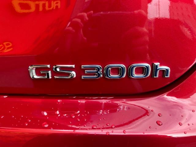 ＧＳ ＧＳ３００ｈ　バージョンＬ　純正ナビ・地デジＴＶ／サンルーフ／レザーシート／プリクラッシュセーフティＳ／三眼ＬＥＤヘッドライト／パワートランク／ＥＴＣ２．０／ドライブレコーダー（48枚目）