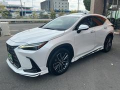 Σ Σأ衡С̡ʥӡϥǥԣ֡쥶 0700361A30251102W001 2