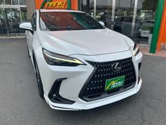 Σ Σأ衡С̡ʥӡϥǥԣ֡쥶 0700361A30251102W001 6