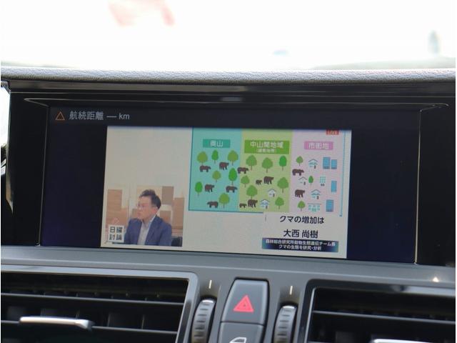 Z4 sDrive35i 純正ナビ フルセグTV ETC Bluetoothオーディオ 本革シート パワーシート シートヒーター スマートキー プッシュスタート(48枚目)