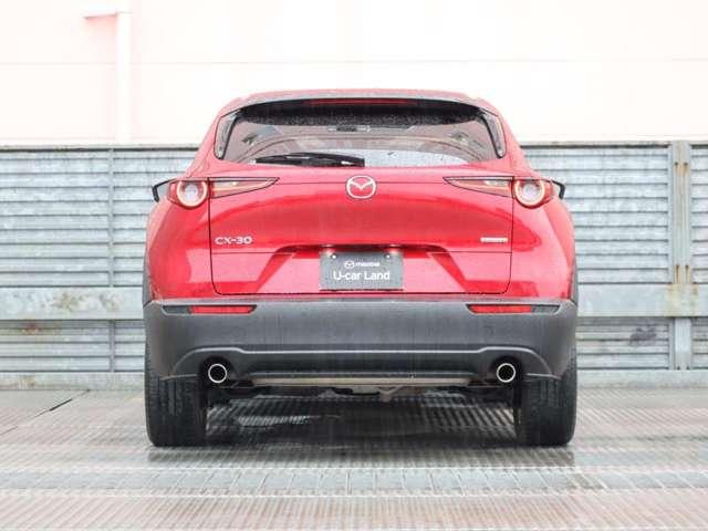 CX-30 2.0 20S Lパッケージ マツダ認定中古車 コネクティッドサービス(19枚目)
