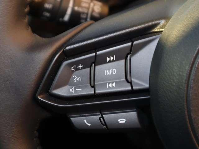 ＣＸ－３ １．５　１５Ｓ　ツーリング　マツダ認定中古車　衝突被害軽減ブレーキ　８ｉ（9枚目）