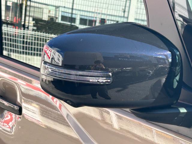 �d���i�[�E�C���J�[�h�A�~���[�I