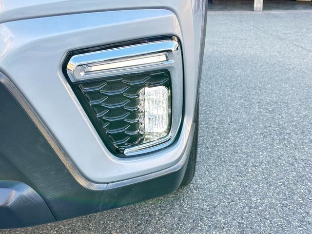 フォレスター プレミアム　純正９ｉｎメモリーナビＴＶ　サイド＆バックカメラ　レーダークルーズ　ＬＫＡ　ＢＳＭ　ＴＲＣ　ＥＴＣ　ナノイー　ハーフレザーパワーシート　パワーバックドア　シート＆ステアリングヒーター　ドラレコ（17枚目）