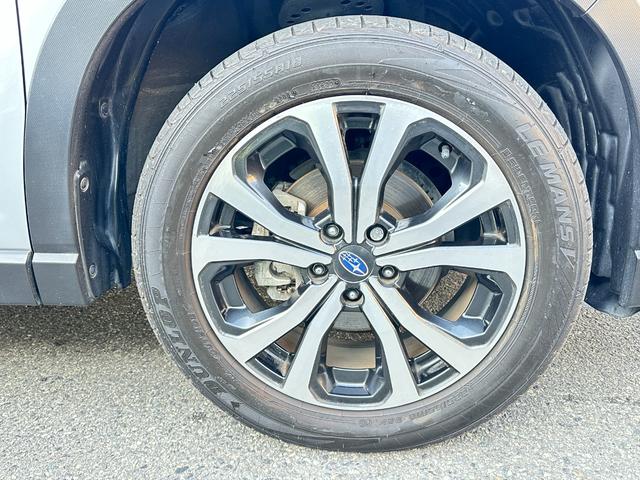 フォレスター プレミアム　純正９ｉｎメモリーナビＴＶ　サイド＆バックカメラ　レーダークルーズ　ＬＫＡ　ＢＳＭ　ＴＲＣ　ＥＴＣ　ナノイー　ハーフレザーパワーシート　パワーバックドア　シート＆ステアリングヒーター　ドラレコ（20枚目）