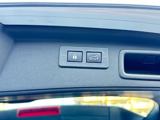 フォレスター プレミアム　純正９ｉｎメモリーナビＴＶ　サイド＆バックカメラ　レーダークルーズ　ＬＫＡ　ＢＳＭ　ＴＲＣ　ＥＴＣ　ナノイー　ハーフレザーパワーシート　パワーバックドア　シート＆ステアリングヒーター　ドラレコ（29枚目）