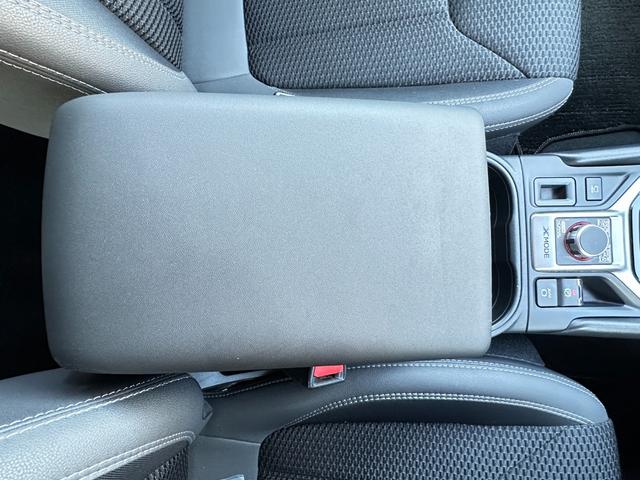 フォレスター プレミアム　純正９ｉｎメモリーナビＴＶ　サイド＆バックカメラ　レーダークルーズ　ＬＫＡ　ＢＳＭ　ＴＲＣ　ＥＴＣ　ナノイー　ハーフレザーパワーシート　パワーバックドア　シート＆ステアリングヒーター　ドラレコ（42枚目）