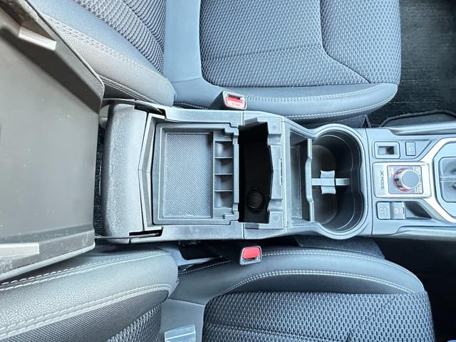 フォレスター プレミアム　純正９ｉｎメモリーナビＴＶ　サイド＆バックカメラ　レーダークルーズ　ＬＫＡ　ＢＳＭ　ＴＲＣ　ＥＴＣ　ナノイー　ハーフレザーパワーシート　パワーバックドア　シート＆ステアリングヒーター　ドラレコ（43枚目）