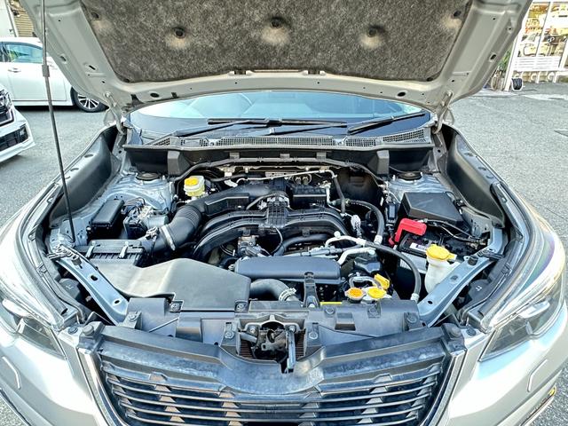 フォレスター プレミアム　純正９ｉｎメモリーナビＴＶ　サイド＆バックカメラ　レーダークルーズ　ＬＫＡ　ＢＳＭ　ＴＲＣ　ＥＴＣ　ナノイー　ハーフレザーパワーシート　パワーバックドア　シート＆ステアリングヒーター　ドラレコ（53枚目）